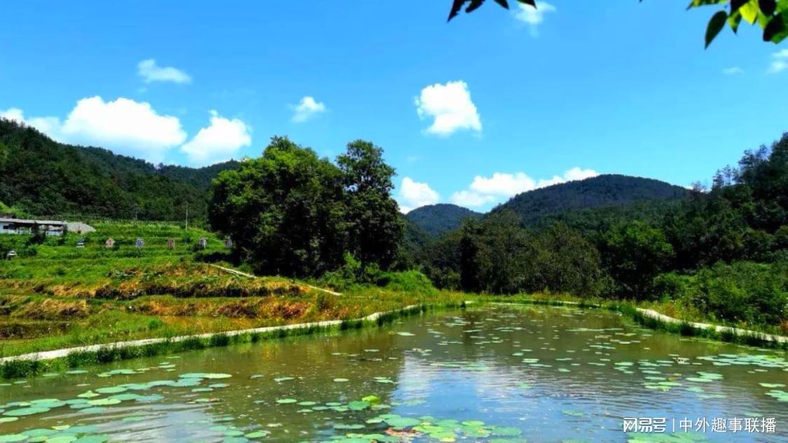 抖音20个双击网站：短视频情感表达指南轻松掌握双击点赞