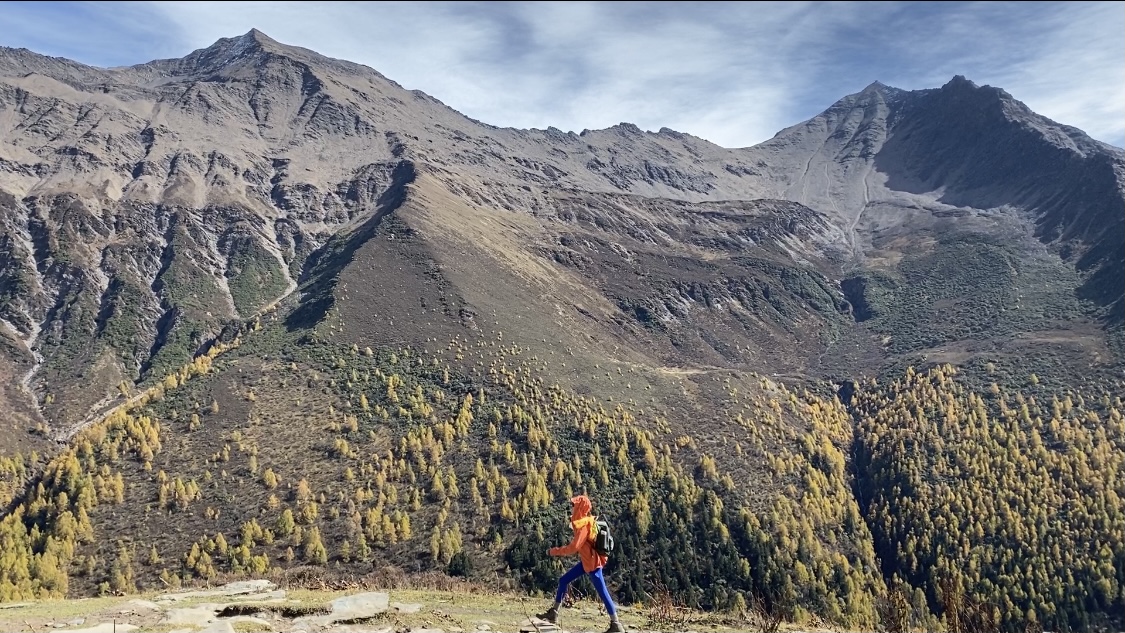 国家市场监管总局停止科技成果转化基地相关工作